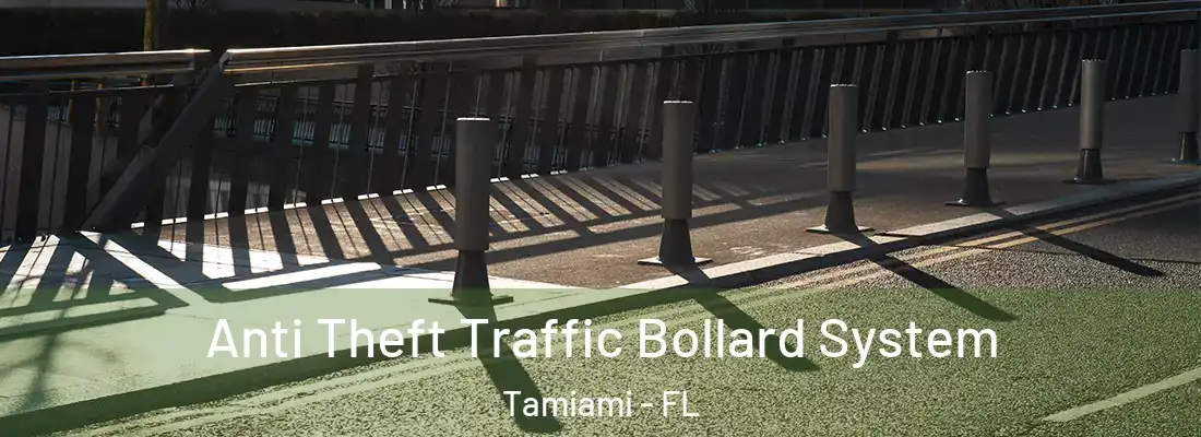 Anti Theft Traffic Bollard System Tamiami - FL