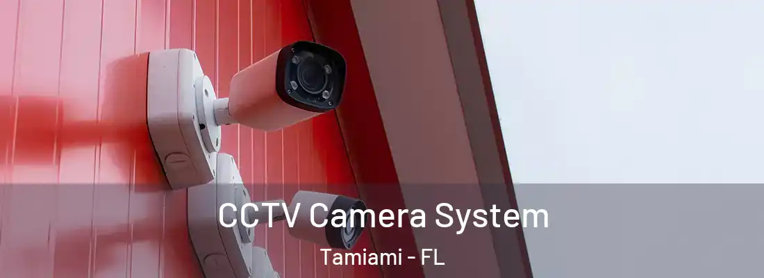  CCTV Camera System Tamiami - FL