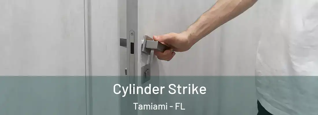 Cylinder Strike Tamiami - FL