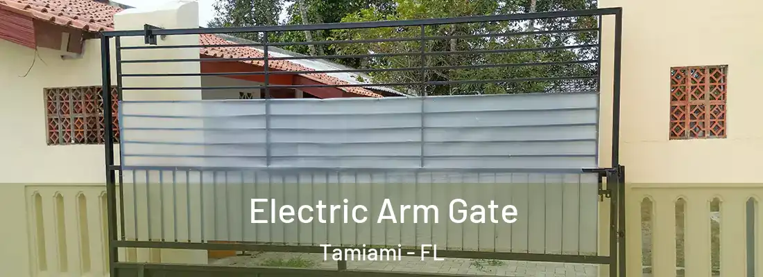 Electric Arm Gate Tamiami - FL
