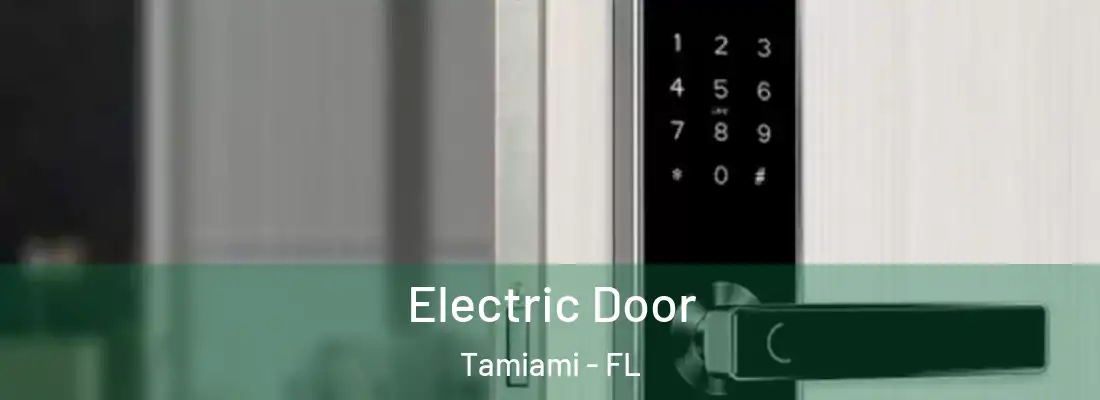 Electric Door Tamiami - FL