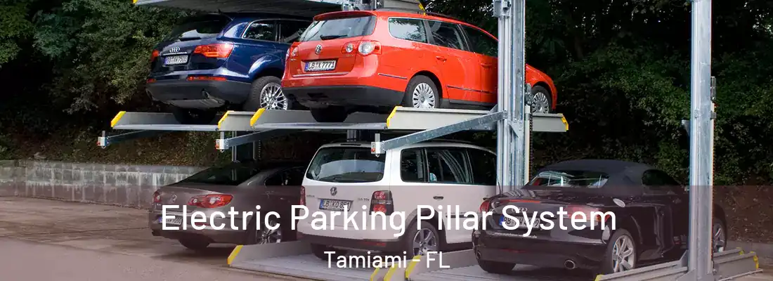 Electric Parking Pillar System Tamiami - FL