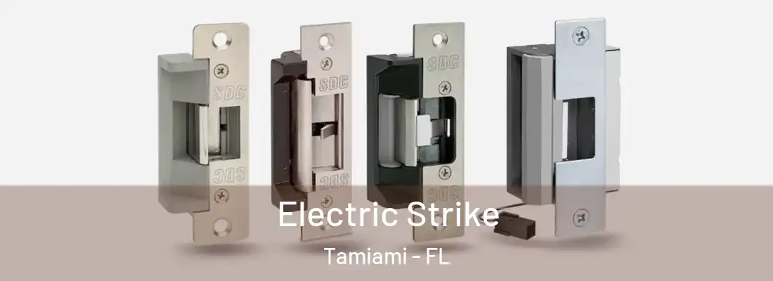 Electric Strike Tamiami - FL