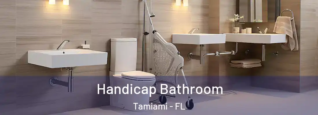 Handicap Bathroom Tamiami - FL