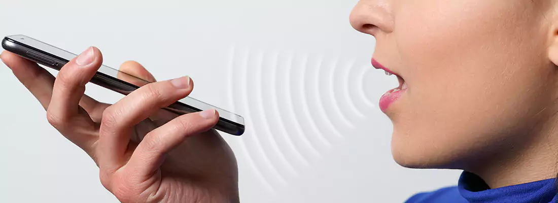 Residential and Commercial Voice Recognition Access Solutions in Tamiami, FL