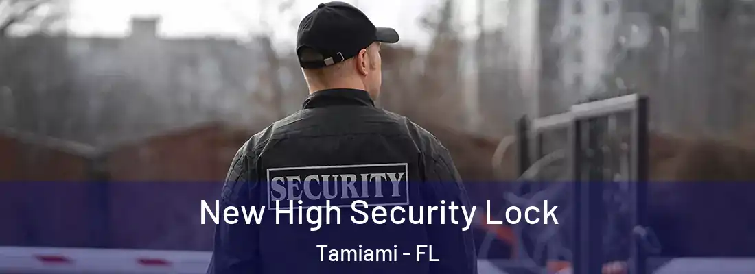  New High Security Lock Tamiami - FL