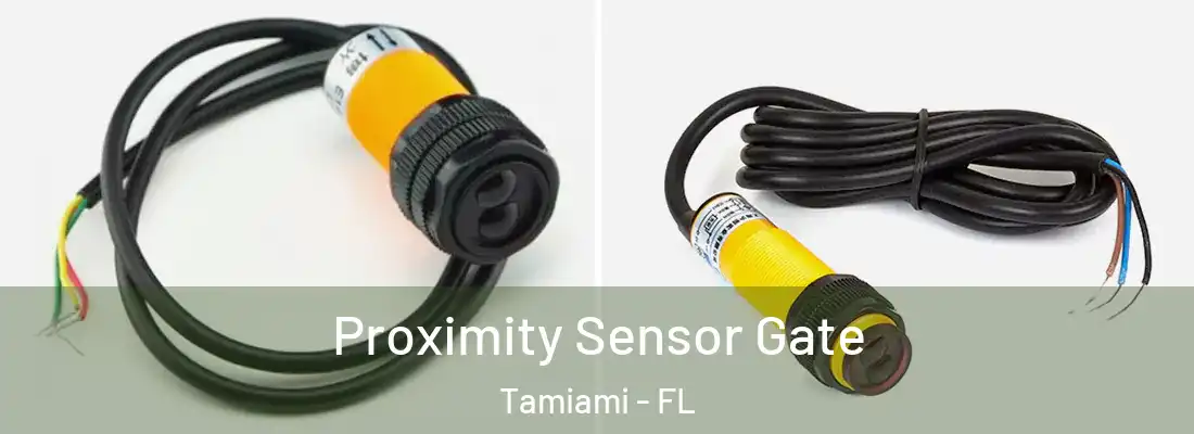 Proximity Sensor Gate Tamiami - FL