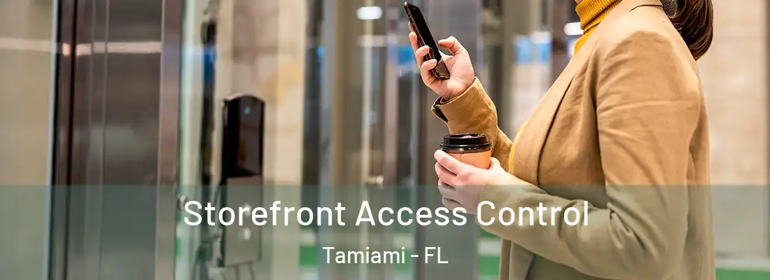 Storefront Access Control Tamiami - FL